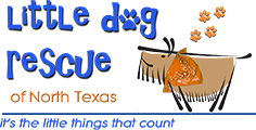 Little Dog Rescue North Texas